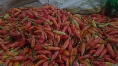 Harga Cabe Mahal