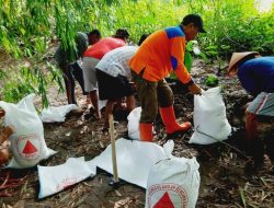 Cegah Banjir, BPBD Bersama Masyarakat Kerja Bakti Buat Tanggul