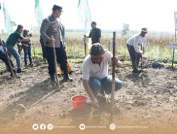 Dukung Program Ketahanan Pangan Nasional, Pj. Bupati Magetan Hadiri Penanaman Perdana Jagung Di Wilayah Kodim 0804/Magetan