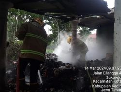 Si Jago Merah Amuk Gudang Rongsok di Ngasem Kediri