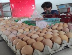 Awal Ramadan 1445H, Harga Telur Ayam di Blitar Melonjak Tinggi, Tembus Rp 32 Ribu per Kilo