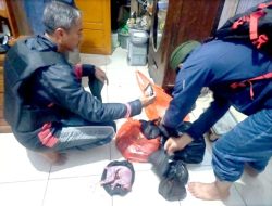 Polhut TN Baluran Temukan Daging Satwa Liar Dalam Freezer Milik Warga Desa Bajulmati Banyuwangi, Ini Asal Usul dan Jenis Dagingnya