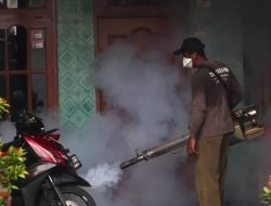 Kasus DBD di Kediri Mulai Melandai, tapi Ini Pesan Pemkab Kediri
