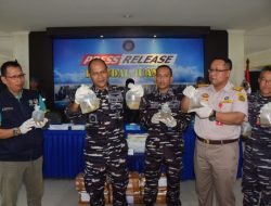TNI AL Gagalkan Upaya Penyelundupan 8 Box Terumbu Karang Dilindungi