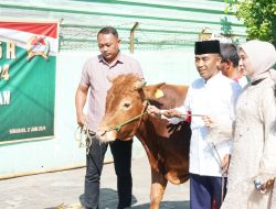 Danrem 084/Bhaskara Jaya Menyerahkan Hewan Qurban Kepada Panitia Qurban Masjid Al-Wathon Korem 084/Bhaskara Jaya