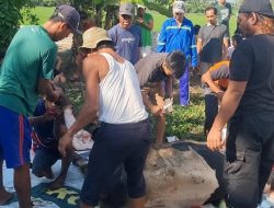 Kisah Haru Idul Adha 1445 H Kampung Tangguh