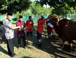Komandan Puspenerbal Serahkan 58 Hewan Kurban Usai Solat Idul Adha 1445 H