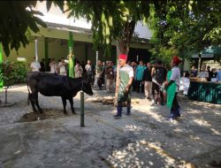 Kota Mojokerto Adakan Pelatihan Bersertifikat Bagi Juru Sembelih Halal Jelang Iduladha