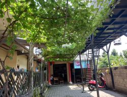 Ratusan Penikmat Kopi Warung Sor Anggur Berkunjung Silih Berganti Ke Warung Dari Berbagai Kalangan Profesi Di Kelurahan Banaran Kota Kediri