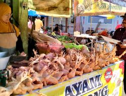Gelar Monitoring Harian Pasar, Harga Komoditas di Kota Kediri dalam Level Aman