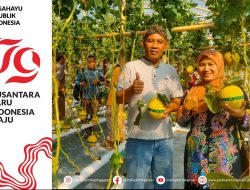 PJ Bupati Hadiri Launching Agrowisata Petik Melon Hidroponik Lozam