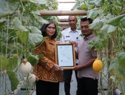 Pj Wali Kota Kediri Serahkan Sertifikat Prima 3 dan Izin Edar PSAT-PDUK, Dorong Masyarakat Manfaatkan Lahan Untuk Produksi Pangan