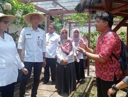 Pj Wali Kota Kediri Tinjau Kebun DKPP, Dukung Program Dalam Mencapai Ketahanan Pangan