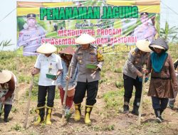 Wujudkan Swasembada Pangan, Polres Jombang Tanam Jagung di Lahan Kosong
