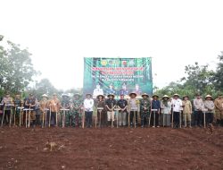 Dukung Program Pemerintah Pusat, Pemkab Purwakarta Manfaatkan Lahan Produktif untuk Tanam Padi Gogo