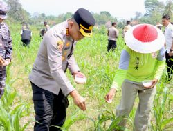 Polresta Banyuwangi Gelorakan Swasembada Pangan Sukseskan Asta Cita
