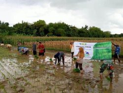 Dukung Ketahanan Pangan dan Makan Bergizi Melalui Gerakan Tanam Padi