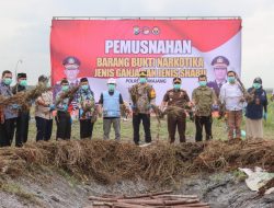 Pj. Bupati Lumajang Apresiasi Polisi yang Berhasil Berhasil Ungkap Lahan Ganja Terbesar di Pulau Jawa