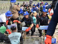 Lestarikan Lingkungan, Ditpolairud Polda Jatim Tanam Belasan Ribu Bibit Mangrove di Gresik