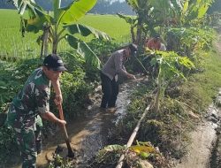 TNI-Polri Dorong Semangat Gotong Royong untuk Majukan Pertanian di Desa Nglongsor