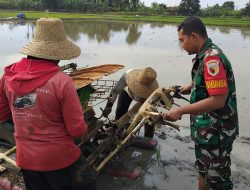 Babinsa Koramil 0817-13/Ujung Pangkah Dampingi Petani di Desa Kebonagung