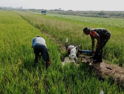 Melalui Program Pompanisasi, Babinsa Koramil Wringinanom Bantu Petani Mengairi Sawah