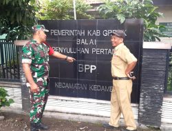 Babinsa Koramil 0817/03 Kedamean Laksanakan Komsos Bahas Diversifikasi Pangan