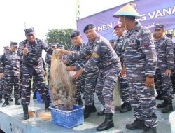 Program Ketahanan Pangan, Lantamal V Panen Udang Vaname