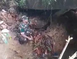 Babinsa Monitoring Jembatan Roboh di Tanah Merah
