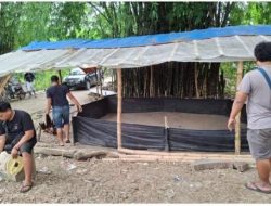 Polres Nganjuk Gerebek Lokasi Sabung Ayam di Lengkong, Pelaku Kabur