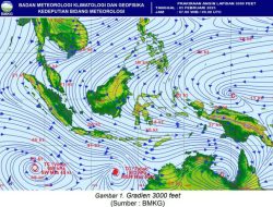 BMKG Klas I Juanda Ingatkan Potensi Angin Kencang di Jatim hingga 6 Februari 2025