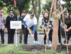Mitra Keluarga Regional Jawa Timur Gelar Program CSR Penghijauan Kota, Plt. Bupati Sidoarjo Tanam 125 Bibit Pohon Pule
