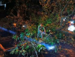 Dengan Sigap, Prajurit Lantamal V Evakuasi Pohon Tumbang Yang Menutupi Jalan