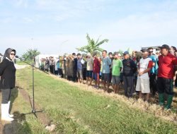 Warga Desa Kedungsumur Kecamatan Krembung Ikut Jihad Rawat Kali
