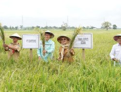 Pemkab Kediri dan PT. Sumitomo Indonesia Gelar Rapat Koordinasi serta Panen Perdana Program AWD di Desa Mekikis