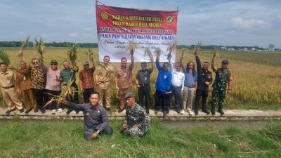 Forum Kader Bela Negara Gelar Panen Padi Terapan Organik Bela Negara Bersama Kementerian Pertahanan dan Dinas Pertanian di Sukoharjo