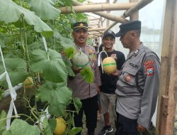 Bhabinkamtibmas Desa Kraton Tinjau Lahan Hidroponik Melon untuk Ketahanan Pangan Bergizi