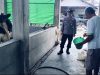 Perhatikan Kualitas Ternak Sapi, Dukung Peningkatan Gizi Masyarakat