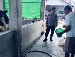 Perhatikan Kualitas Ternak Sapi, Dukung Peningkatan Gizi Masyarakat
