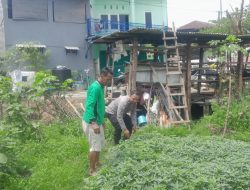 Kapolsek Sukodono Apresiasi Warga yang Produktif Manfaatkan Lahan untuk Ketahanan Pangan