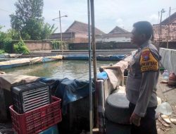 Bhabinkamtibmas Desa Singopadu Tinjau Kolam Lele Warga Guna Dukung Swasembada Pangan
