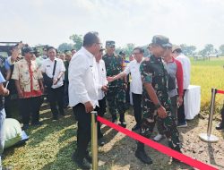 Danrem 084/Bhaskara Jaya Menghadiri Panen Raya Padi Serentak di 14 Provinsi Bersama Presiden RI Prabowo Subianto Secara Virtual