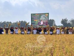 Mojokerto Catat Peningkatan Produksi Padi, Bupati Al Barra Optimis Capai Target Swasembada Pangan