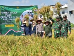 Pemkot Surabaya dan Kodim Ikut Panen Padi Serentak Nasional