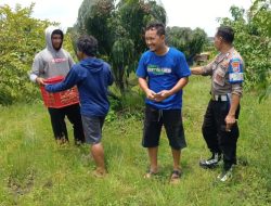 Bhabinkamtibmas Desa Kemantren Tinjau Lahan Sayuran Warga, Dukung Swasembada Pangan Mandiri