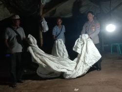 Polisi Bongkar Lokasi Diduga Judi Sabung Ayam di Ngronggot