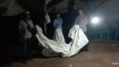 Polisi Bongkar Lokasi Diduga Judi Sabung Ayam di Ngronggot