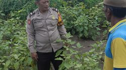 Bhabinkamtibmas Cek Lahan P2B Tanaman Sayur, Dukung Ketahanan Pangan Warga Tambak Kalisogo