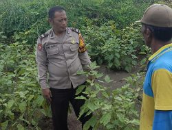 Bhabinkamtibmas Cek Lahan P2B Tanaman Sayur, Dukung Ketahanan Pangan Warga Tambak Kalisogo
