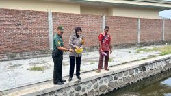 Tiga Pilar Wonoayu Kompak Tinjau Budidaya Ikan Gurami di Desa Mojorangagung